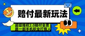 超级维权2.0全新玩法，2024赔付全思路职业打假一部手机搞定【仅揭秘】-风淘社