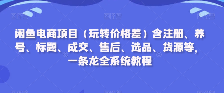 闲鱼电商项目(玩转价格差)含注册、养号、标题、成交、售后、选品、货源等,一条龙全系统教程-风淘社