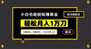 谷歌看广告撸美金2.0，无脑挂机，多号操作，月入1万刀【揭秘】-风淘社