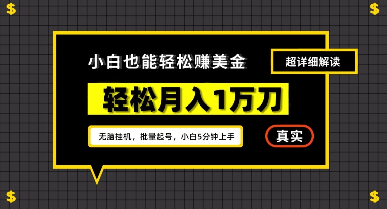 谷歌看广告撸美金2.0,无脑挂机,多号操作,月入1万刀【揭秘】-风淘社
