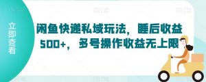 闲鱼快递私域玩法，睡后收益500+，多号操作收益无上限【揭秘】-风淘社