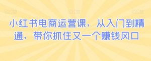 小红书电商运营课,从入门到精通,带你抓住又一个赚钱风口-风淘社
