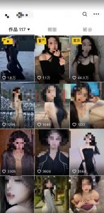 2024利用AI美女视频引粉,单号日引2000+,新手也能干,喂饭式教程【揭秘】-风淘社