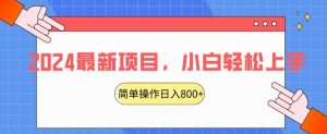 2024最新项目，红娘项目，简单操作轻松日入800+【揭秘】-风淘社