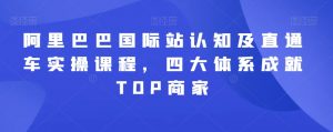 阿里巴巴国际站认知及直通车实操课程,四大体系成就TOP商家-风淘社