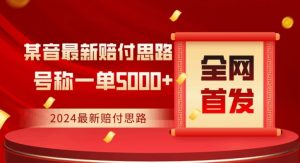 全网首发，2024最新抖音赔付项目，号称一单5000+保姆级拆解【仅揭秘】-风淘社