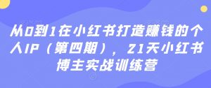从0到1在小红书打造赚钱的个人IP(第四期),21天小红书博主实战训练营-风淘社