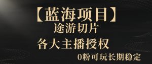 一天收入2000+，最新中视频创新玩法，用AI科技一键改唱影解说刷爆流量收益【揭秘】-风淘社