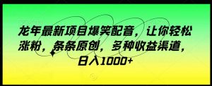 龙年最新项目爆笑配音,让你轻松涨粉,条条原创,多种收益渠道,日入1000+【揭秘】-风淘社