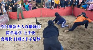 冷门爆款无人直播项目，简单易学上手快，变现快日赚2千不是梦【揭秘】-风淘社