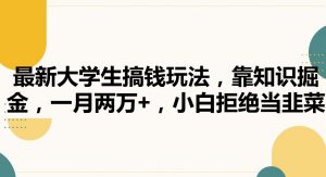 最新大学生搞钱玩法，靠知识掘金，一月两万+，小白拒绝当韭菜【揭秘】-风淘社