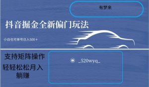 全新抖音倔金项目5.0，小白在家即可轻松操作，单号日入500+支持矩阵操作-风淘社