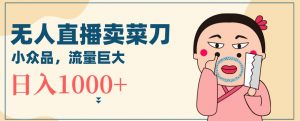 无人冷门品直播新玩法，通过卖菜刀日入1000+【揭秘】-风淘社