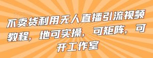 不卖货利用无人直播引流视频教程,地可实操,可矩阵,可开工作室【揭秘】-风淘社