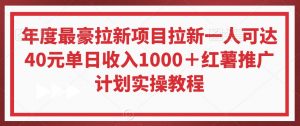年度最豪拉新项目拉新一人可达40元单日收入1000+红薯推广计划实操教程【揭秘】-风淘社
