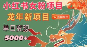 小红书女粉头像项目，单日变现5000+，适合在家做的副业，长期稳定【揭秘】-风淘社