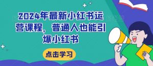 2024年最新小红书运营课程,普通人也能引爆小红书-风淘社
