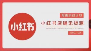 安琪-小红书店铺无货源实战,开店到售后全流程操作-风淘社
