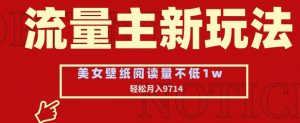 流量主新玩法，美女壁纸和头像，阅读量不低于1w，月入9741【揭秘】-风淘社