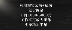 利用淘宝公域+私域差价掘金，日赚1000-5000元，工作室可放大操作，实操稳定半年【揭秘】-风淘社