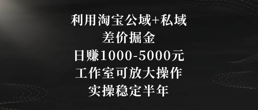 利用淘宝公域+私域差价掘金,日赚1000-5000元,工作室可放大操作,实操稳定半年【揭秘】-风淘社