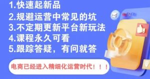 文西电商课程，规避运营中常见的坑-风淘社