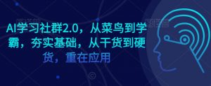 AI学习社群2.0,从菜鸟到学霸,夯实基础,从干货到硬货,重在应用-风淘社