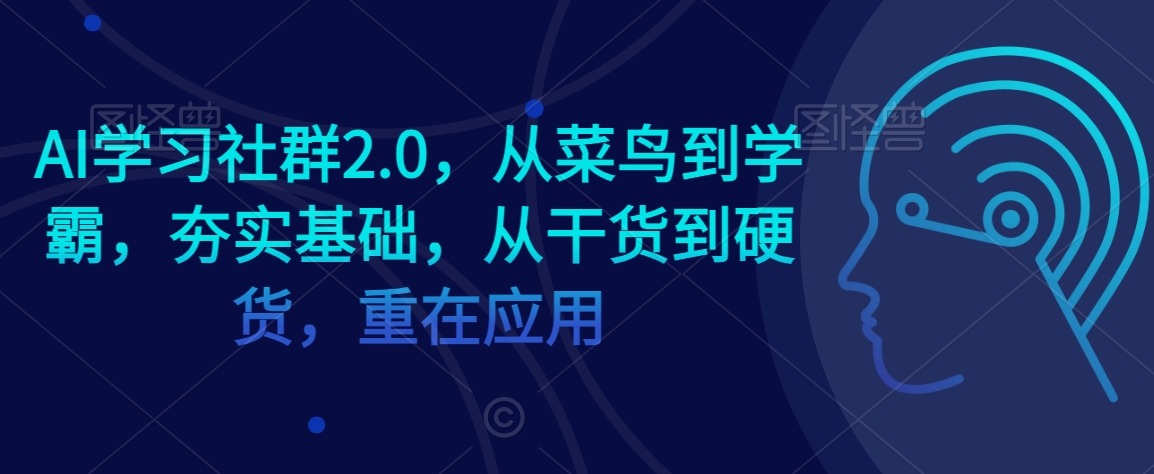 AI学习社群2.0,从菜鸟到学霸,夯实基础,从干货到硬货,重在应用-风淘社