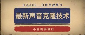 最新声音克隆技术，有手就行，自用变现都可，日入300+【揭秘】-风淘社