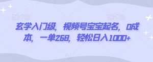 玄学入门级，视频号宝宝起名，0成本，一单268，轻松日入1000+【揭秘】-风淘社