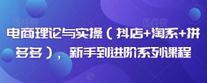 电商理论与实操(抖店+淘系+拼多多),新手到进阶系列课程-风淘社