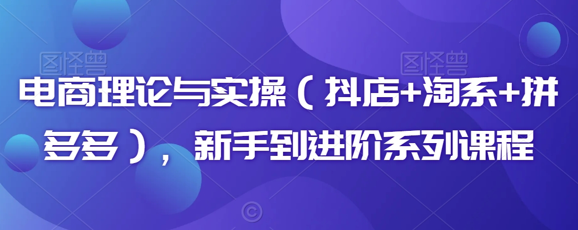 电商理论与实操(抖店+淘系+拼多多),新手到进阶系列课程-风淘社