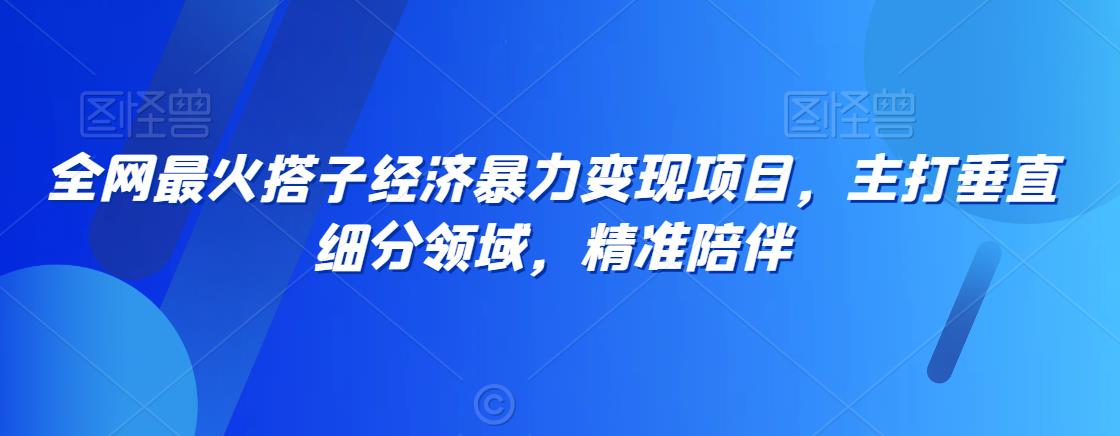 全网最火搭子经济暴力变现项目,主打垂直细分领域,精准陪伴【揭秘】-风淘社