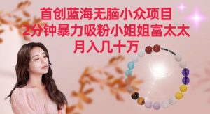 首创蓝海无脑小众项目，2分钟暴力吸粉小姐姐富太太，月入几十万【揭秘】-风淘社