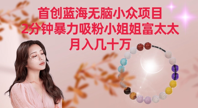 首创蓝海无脑小众项目,2分钟暴力吸粉小姐姐富太太,月入几十万【揭秘】-风淘社