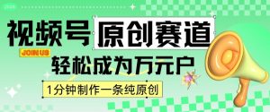 2024视频号最新原创赛道,1分钟一条原创作品,日入4位数轻轻松松-风淘社