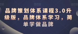 品牌策划体系课程3.0升级版,品牌体系学习,简单学做品牌-风淘社