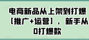 电商新品从上架到打爆【推广+运营】，新手从0打爆款-风淘社