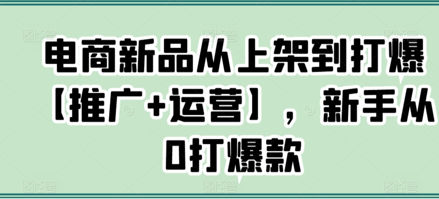 电商新品从上架到打爆【推广+运营】，新手从0打爆款-风淘社