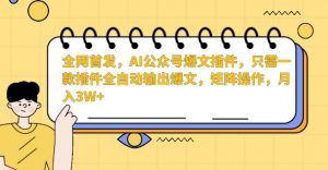 全网首发,AI公众号爆文插件,只需一款插件全自动输出爆文,矩阵操作,月入3W+【揭秘】-风淘社