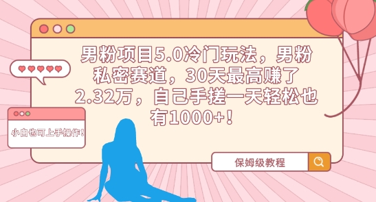 男粉项目5.0冷门玩法,男粉私密赛道,30天最高赚了2.32万,自己手搓一天轻松也有1000+【揭秘】-风淘社