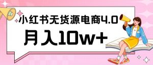 小红书新电商实战，无货源实操从0到1月入10w+联合抖音放大收益【揭秘】-风淘社