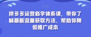 拼多多运营必学体系课,带你了解最新流量获取方法、帮助你降低推广成本-风淘社