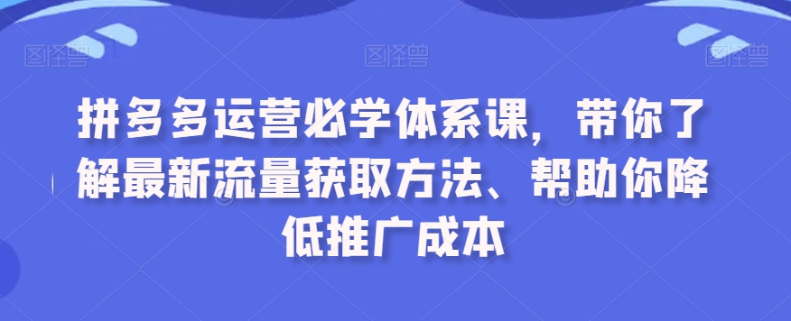 拼多多运营必学体系课,带你了解最新流量获取方法、帮助你降低推广成本-风淘社