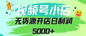 视频号无货源小店从0到1日订单量千单以上纯利润稳稳5000+【揭秘】-风淘社