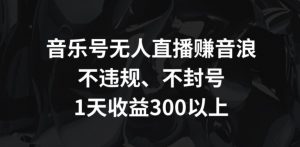 音乐号无人直播赚音浪，不违规、不封号，1天收益300+【揭秘】-风淘社