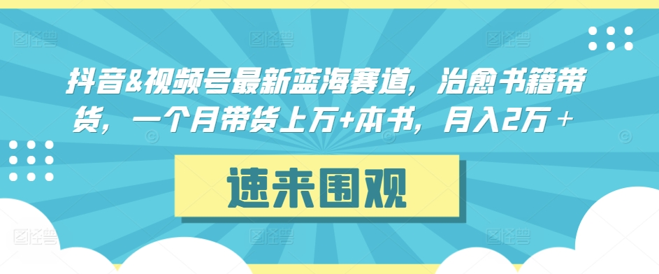 抖音&视频号最新蓝海赛道,治愈书籍带货,一个月带货上万+本书,月入2万+【揭秘】-风淘社