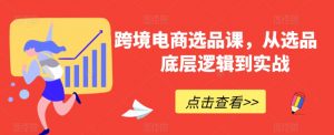 跨境电商选品课，从选品到底层逻辑到实战-风淘社