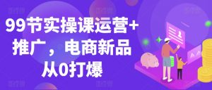 99节实操课运营+推广，电商新品从0打爆-风淘社