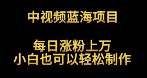 中视频蓝海项目，解读英雄人物生平，每日涨粉上万，小白也可以轻松制作，月入过万不是梦【揭秘】-风淘社